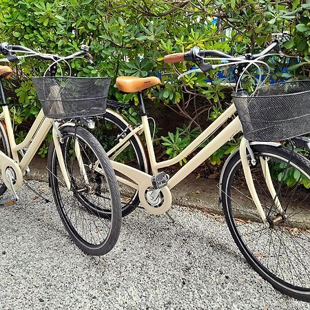 Apt Luminoso, Spazioso Con Aria Condiz E Bici Apartment Viareggio Bagian luar foto